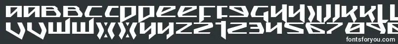 SnubfighterExpanded Font – White Fonts
