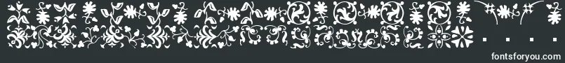 BorderbatsFleurRegular Font – White Fonts on Black Background