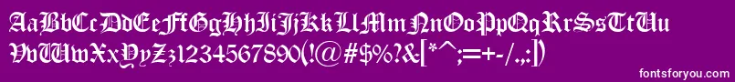 Old London Alternate Font – White Fonts on Purple Background