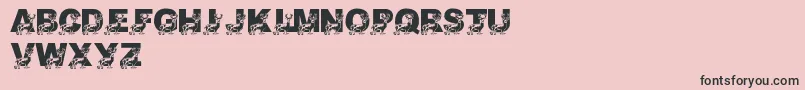 LmsDaddyDeer Font – Black Fonts on Pink Background