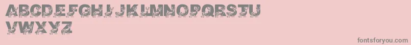 LmsDaddyDeer Font – Gray Fonts on Pink Background