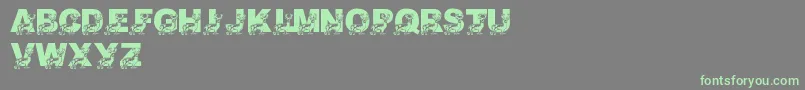 フォントLmsDaddyDeer – 灰色の背景に緑のフォント