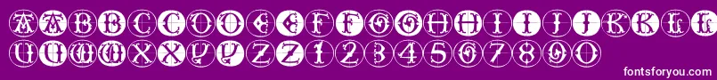 Toscanbuttons Font – White Fonts on Purple Background