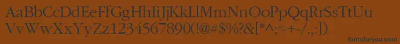 GaramondlightsskRegular Font – Black Fonts on Brown Background