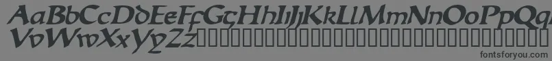 EscudedisplaysskBolditalic Font – Black Fonts on Gray Background