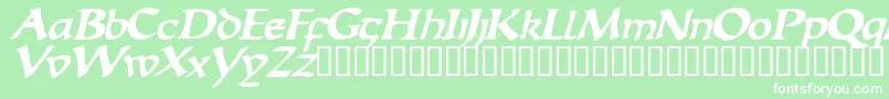 EscudedisplaysskBolditalic Font – White Fonts on Green Background