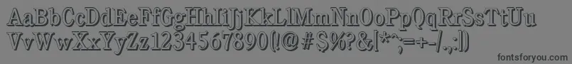 CalgaryshadowLightRegular Font – Black Fonts on Gray Background