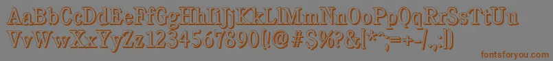 CalgaryshadowLightRegular Font – Brown Fonts on Gray Background