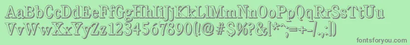 CalgaryshadowLightRegular Font – Gray Fonts on Green Background