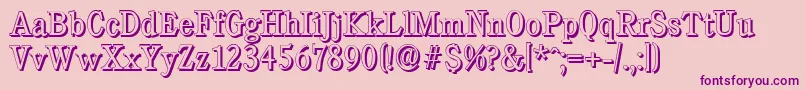 CalgaryshadowLightRegular Font – Purple Fonts on Pink Background