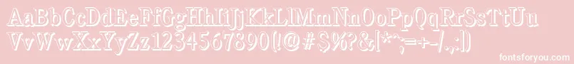 CalgaryshadowLightRegular Font – White Fonts on Pink Background