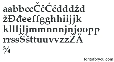 ZapfCalligraphic801BoldSwa font – bosnian Fonts