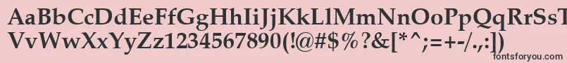 ZapfCalligraphic801BoldSwa-fontti – mustat fontit vaaleanpunaisella taustalla