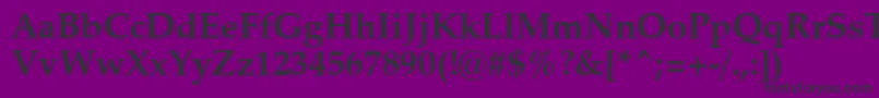 ZapfCalligraphic801BoldSwa Font – Black Fonts on Purple Background