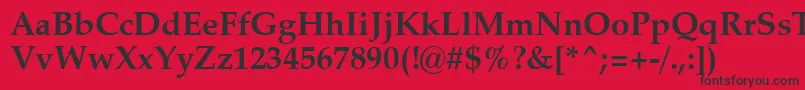 ZapfCalligraphic801BoldSwa Font – Black Fonts on Red Background