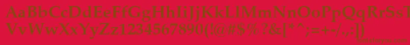 ZapfCalligraphic801BoldSwa Font – Brown Fonts on Red Background