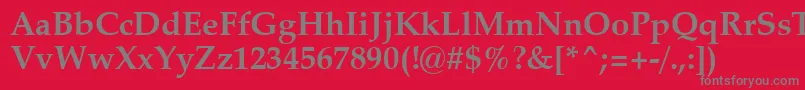 ZapfCalligraphic801BoldSwa Font – Gray Fonts on Red Background