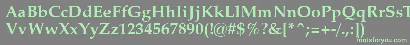 ZapfCalligraphic801BoldSwa-fontti – vihreät fontit harmaalla taustalla