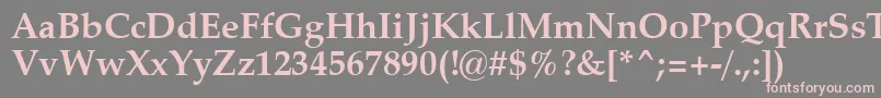 Шрифт ZapfCalligraphic801BoldSwa – розовые шрифты на сером фоне