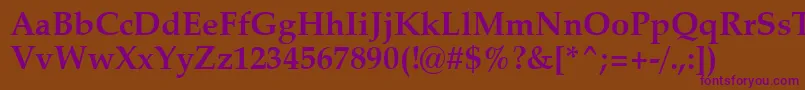 ZapfCalligraphic801BoldSwa Font – Purple Fonts on Brown Background