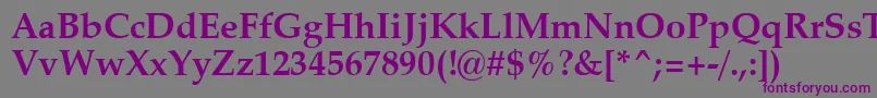 ZapfCalligraphic801BoldSwa Font – Purple Fonts on Gray Background