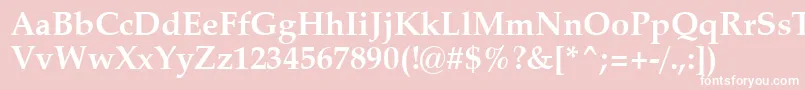 ZapfCalligraphic801BoldSwa Font – White Fonts on Pink Background