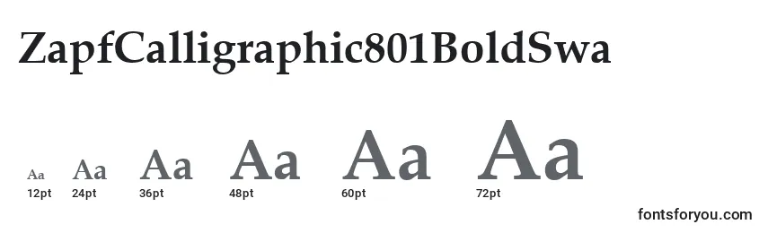 Größen der Schriftart ZapfCalligraphic801BoldSwa