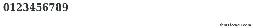 DejavuSerifCondensedBold Font – Fonts for Numbers and Digits