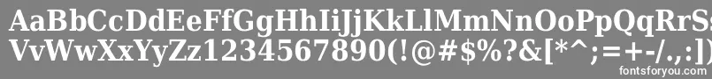 フォントDejavuSerifCondensedBold – 灰色の背景に白い文字