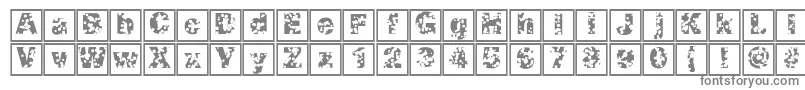 フォントSwisscheeseframes – 白い背景に灰色の文字