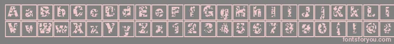 Swisscheeseframes Font – Pink Fonts on Gray Background