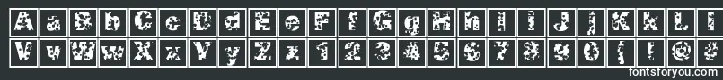 Swisscheeseframes Font – White Fonts on Black Background