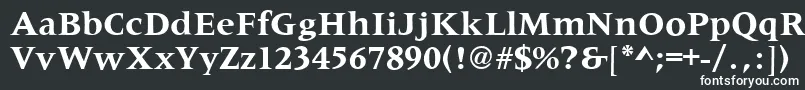 フォントMetaphorBold – 黒い背景に白い文字