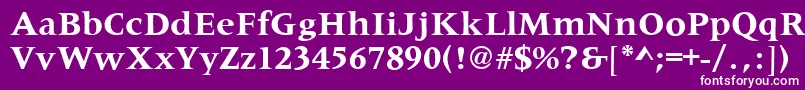 MetaphorBold Font – White Fonts on Purple Background