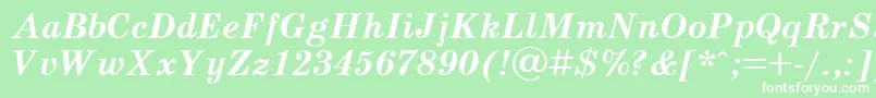 SchoolbookBolditalicCyrillic Font – White Fonts on Green Background