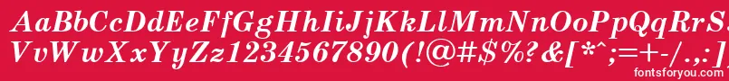 SchoolbookBolditalicCyrillic Font – White Fonts on Red Background