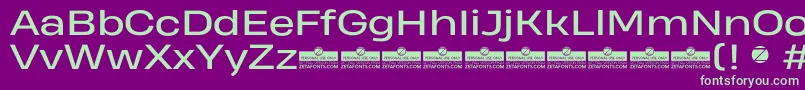 Czcionka HeadingProWideRegularTrial – zielone czcionki na fioletowym tle