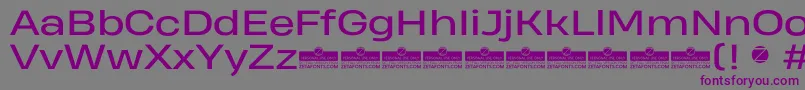 Police HeadingProWideRegularTrial – polices violettes sur fond gris