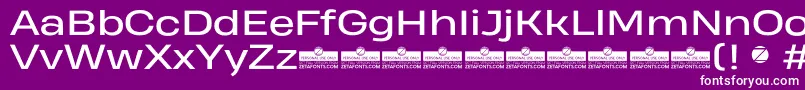 HeadingProWideRegularTrial-Schriftart – Weiße Schriften auf violettem Hintergrund