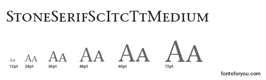 Размеры шрифта StoneSerifScItcTtMedium