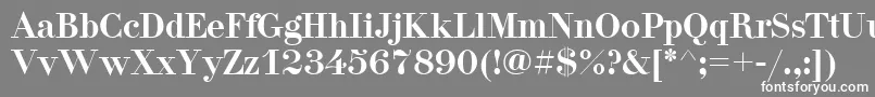 フォントPgDidonaCyrIllic – 灰色の背景に白い文字