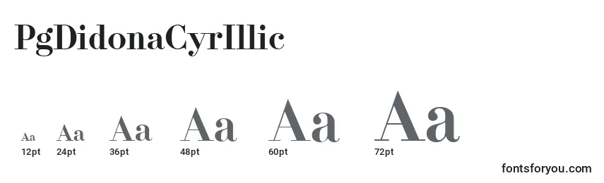 PgDidonaCyrIllic Font Sizes