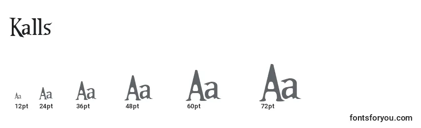 Kalls Font Sizes