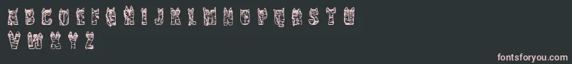 CfnaviaRegular Font – Pink Fonts on Black Background