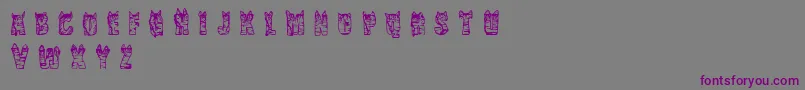 CfnaviaRegular-fontti – violetit fontit harmaalla taustalla