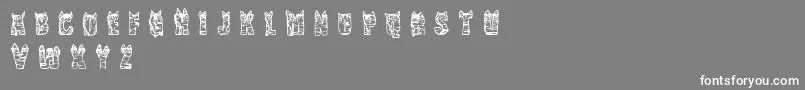 フォントCfnaviaRegular – 灰色の背景に白い文字