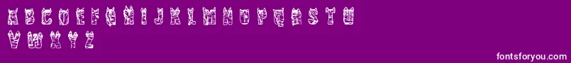 CfnaviaRegular Font – White Fonts on Purple Background