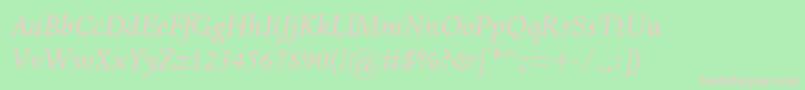 DantemtstdItalic Font – Pink Fonts on Green Background