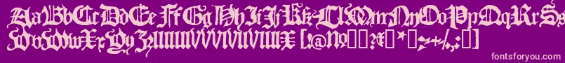 En savoir plus sur la police BlackletterHplhs Police BlackletterHplhs – polices roses sur fond violet