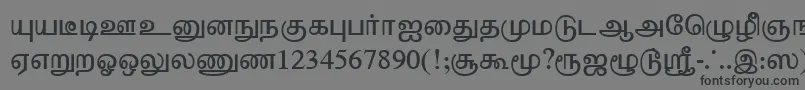 TharminiPlain Font – Black Fonts on Gray Background